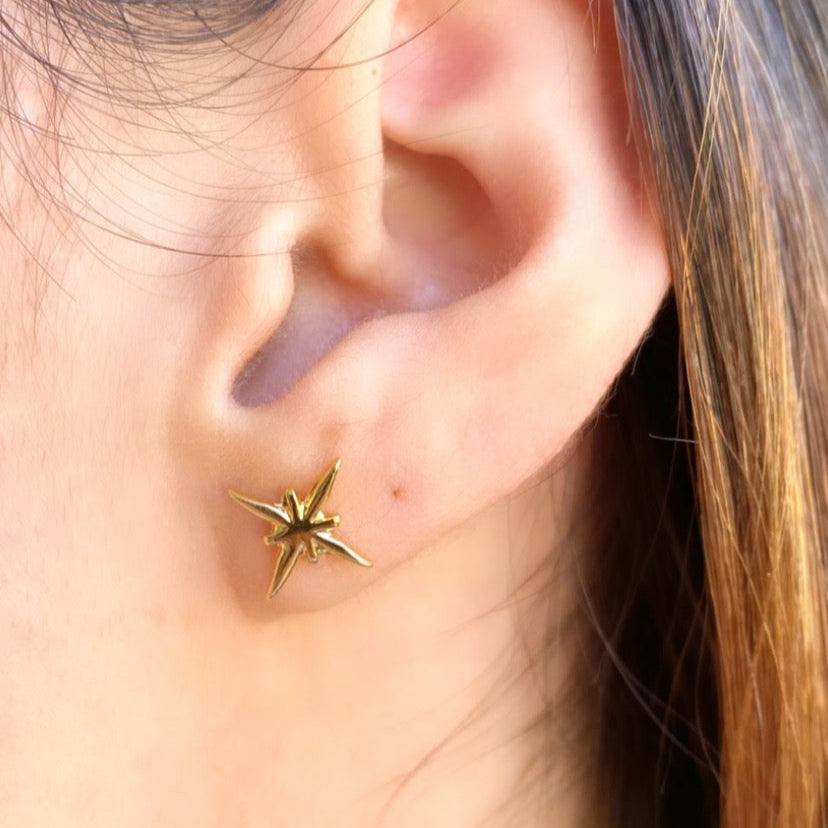 Arete Estrella del Norte