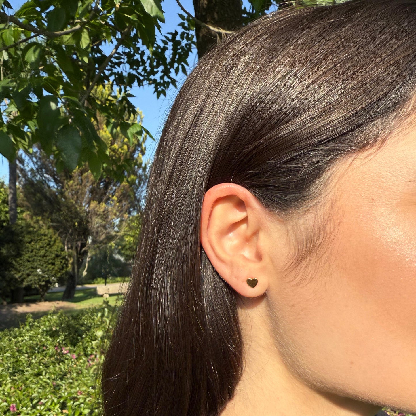 Arete Corazón mini