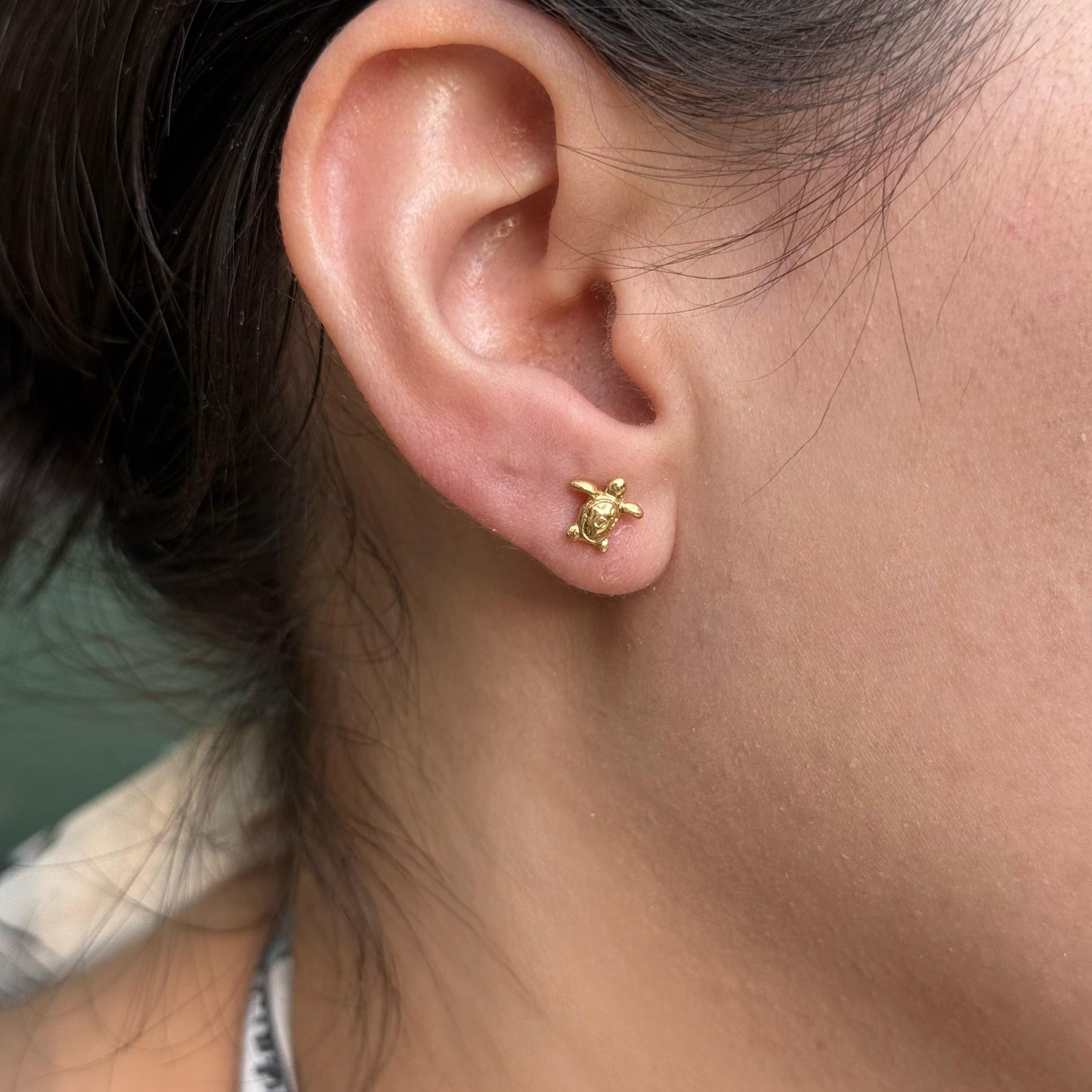 Arete Tortuga