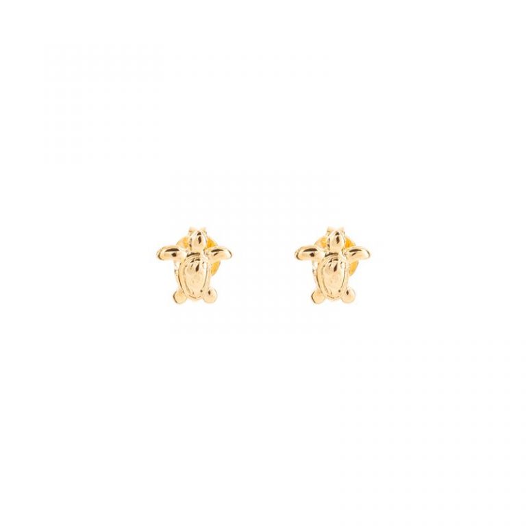 Arete Tortuga