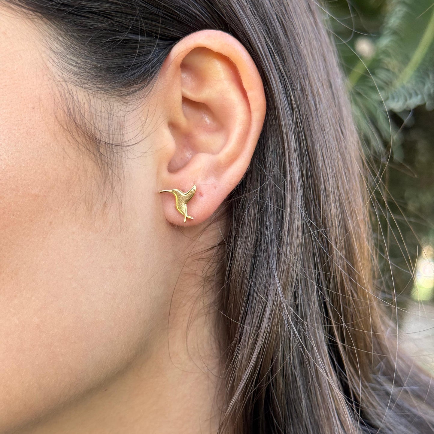Arete Colibrí Mini