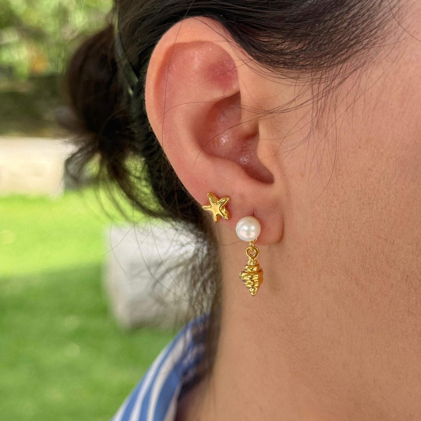 Set Caracol y Estrella de mar