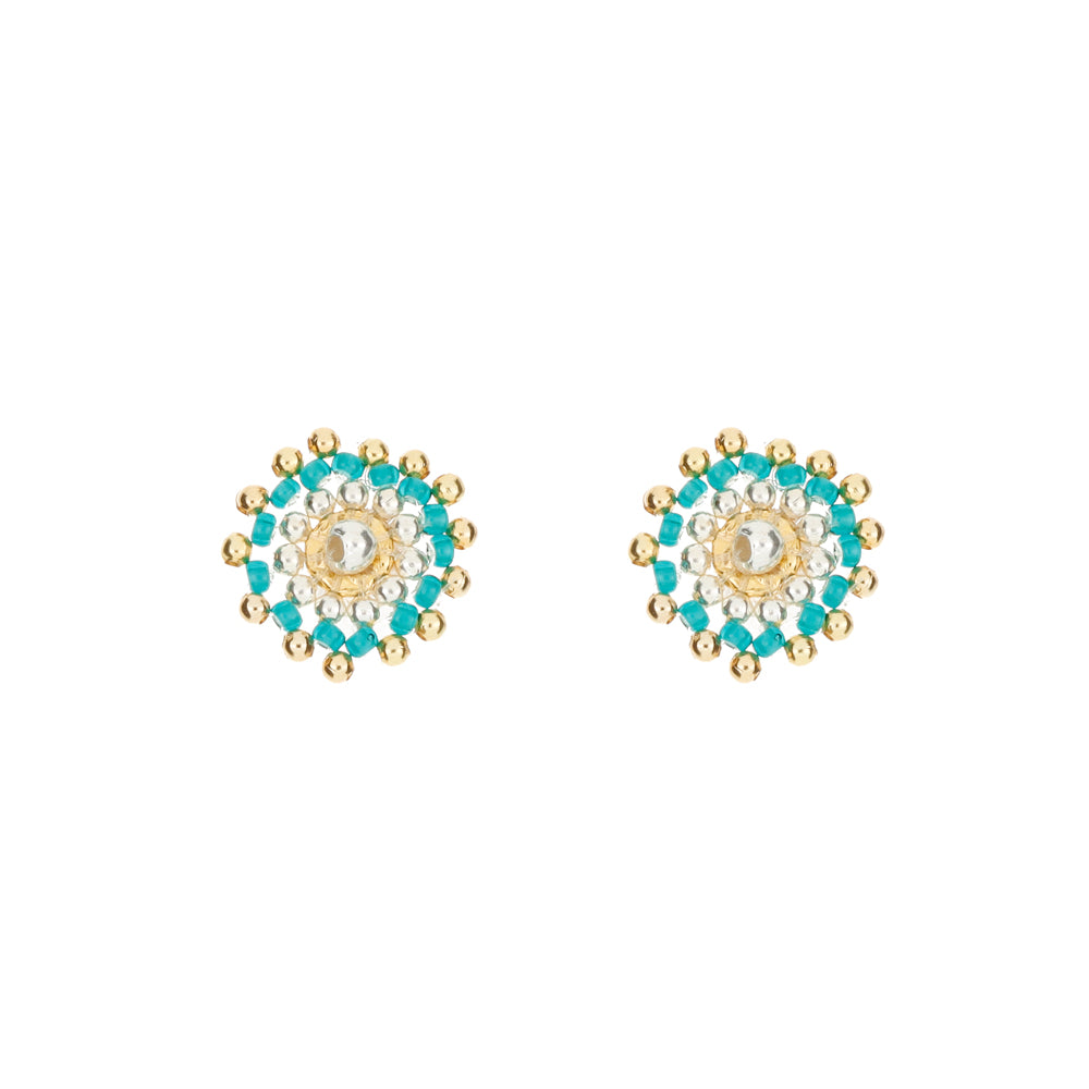 Arete Carolina
