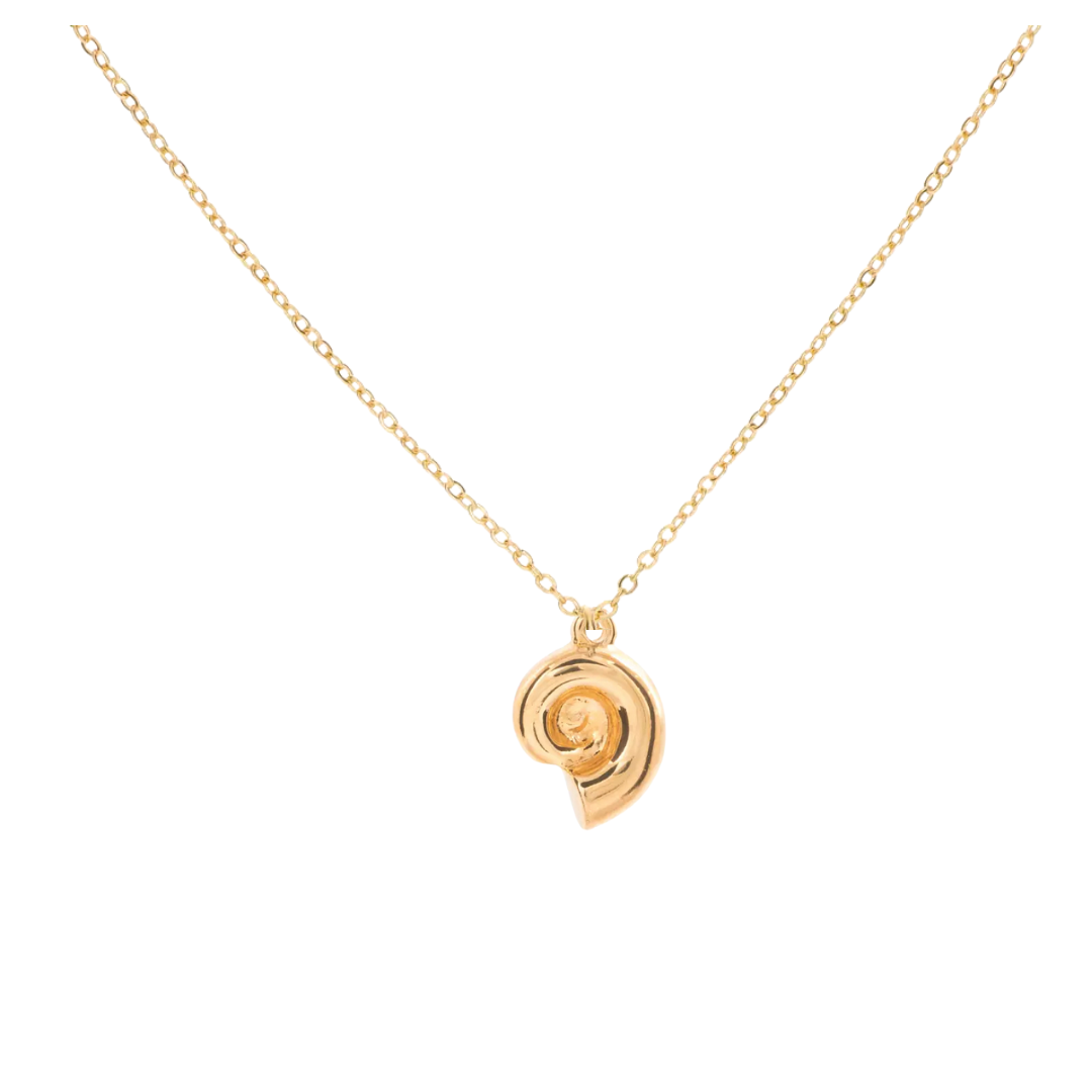 Collar Caracol del Mar