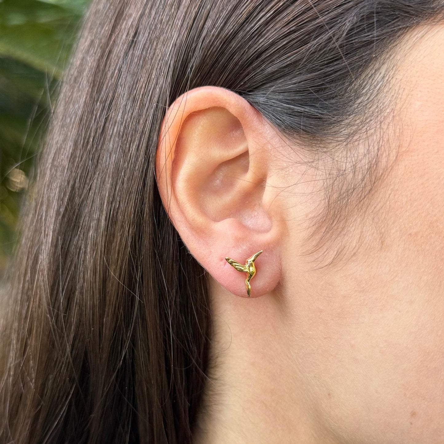 Arete Colibrí