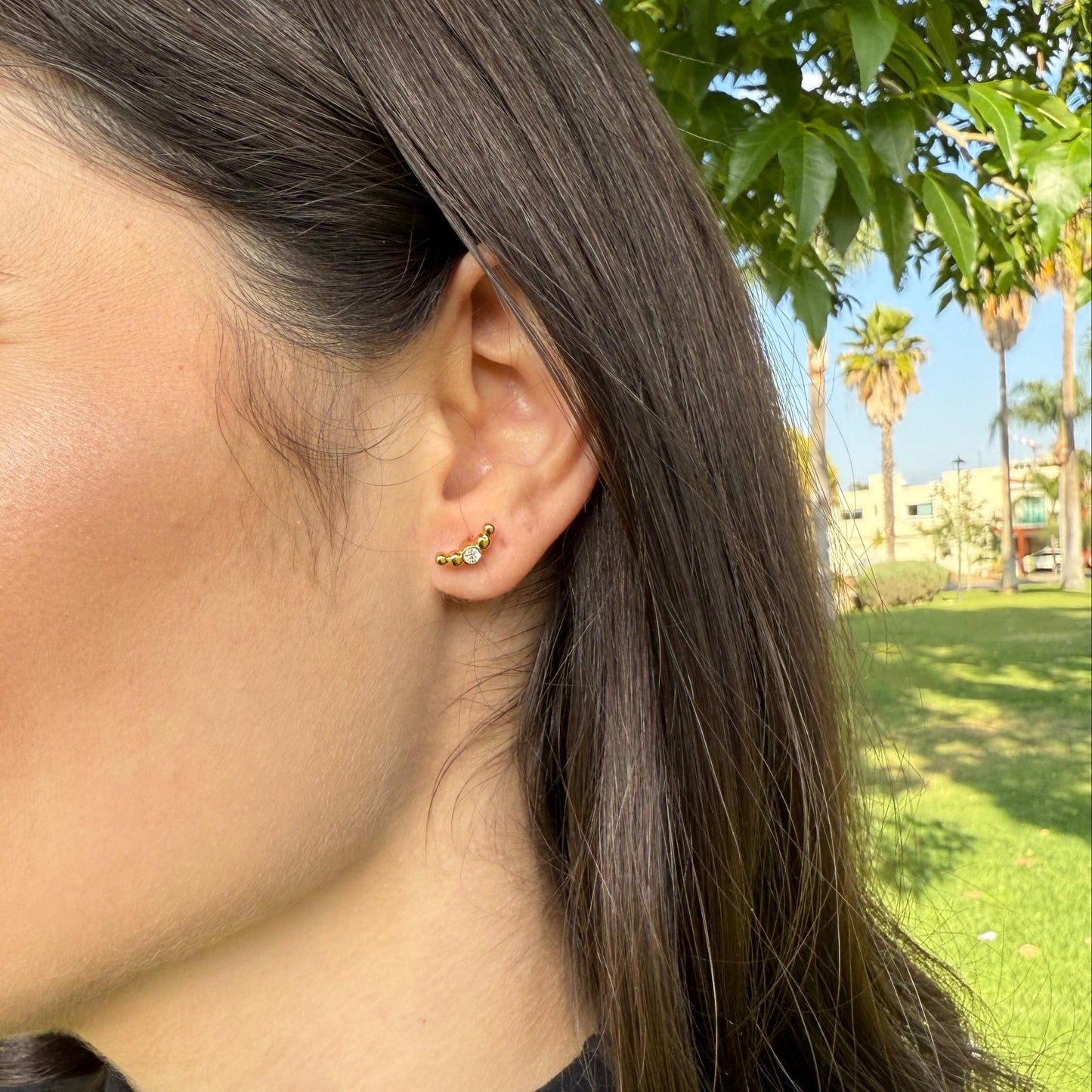 Arete Curvo con cristal