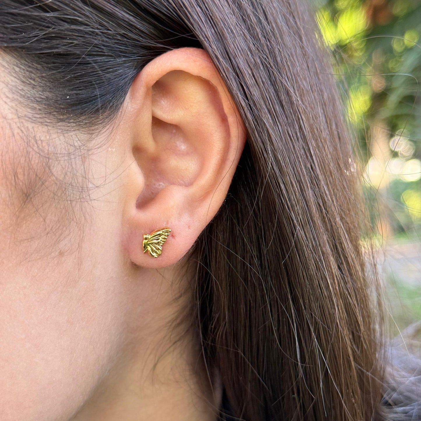 Arete Mariposa
