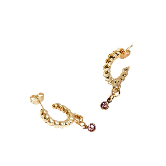 Arracada Trenza con Cristal