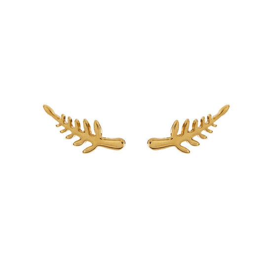 Arete Hoja Laurel