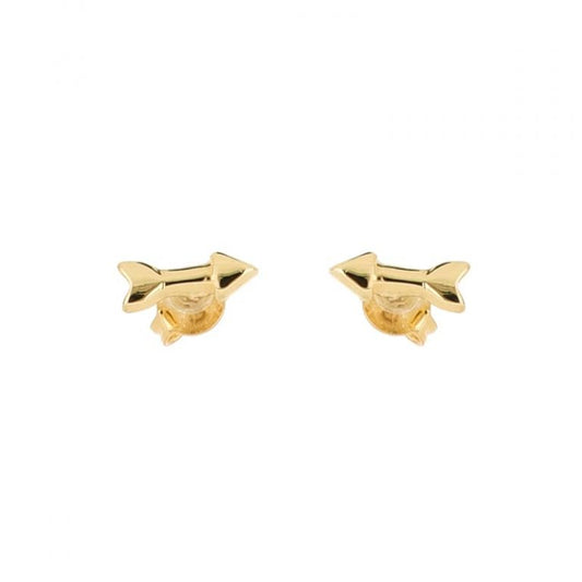 Arete Flecha