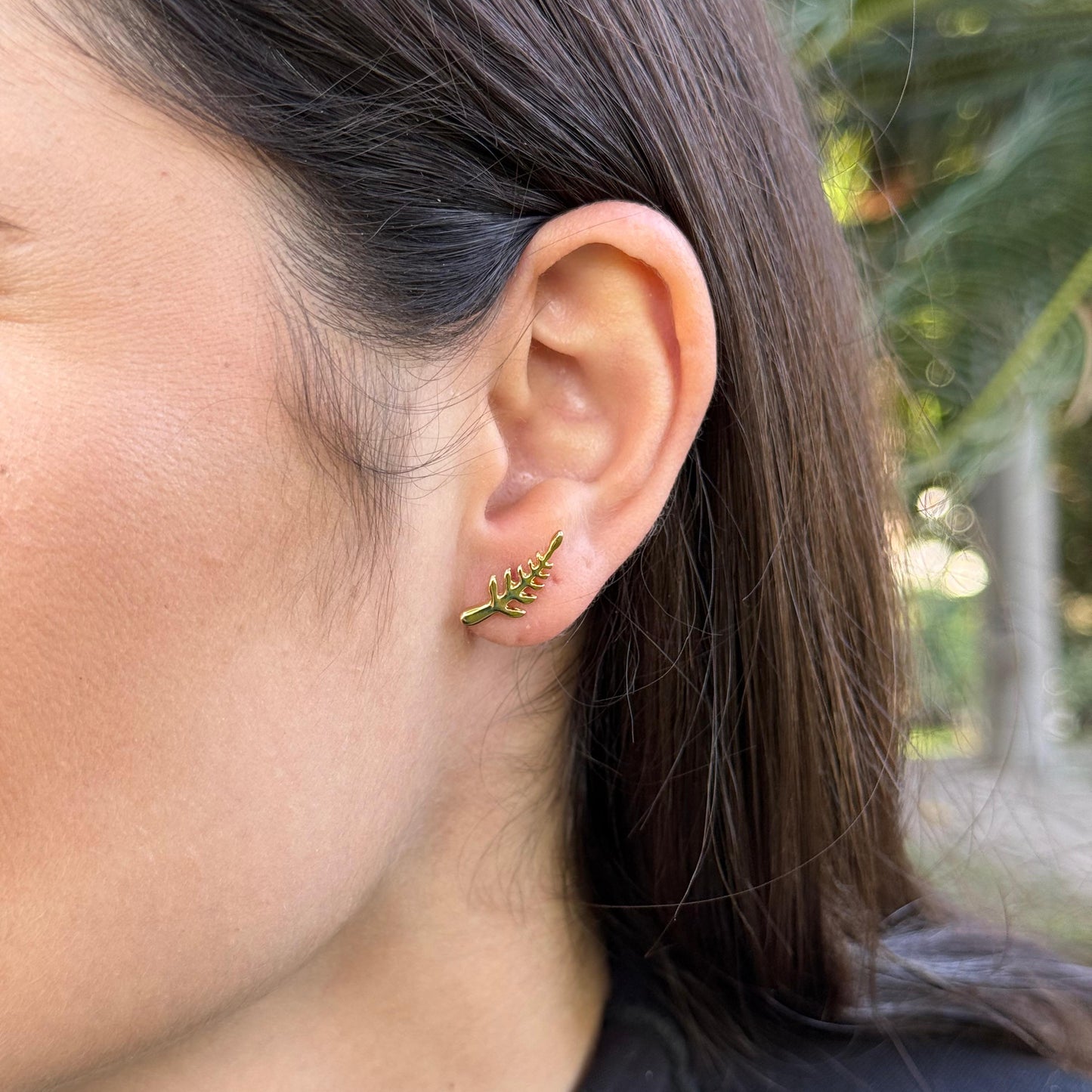 Arete Hoja Laurel