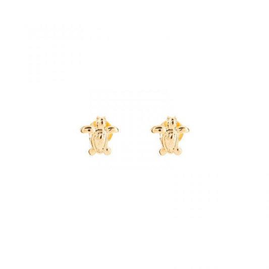 Arete Tortuga