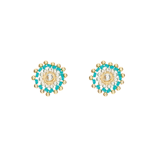 Arete Carolina