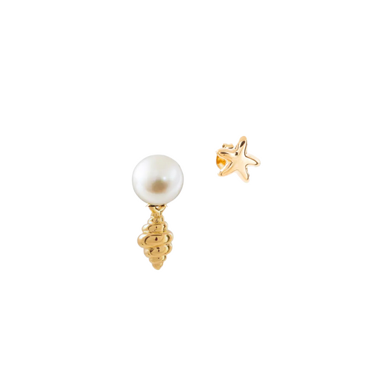 Set Caracol y Estrella de mar