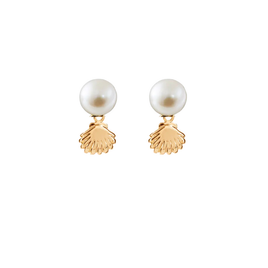 Aretes Perla Concha de mar