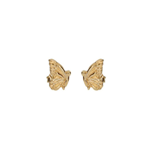 Arete Mariposa